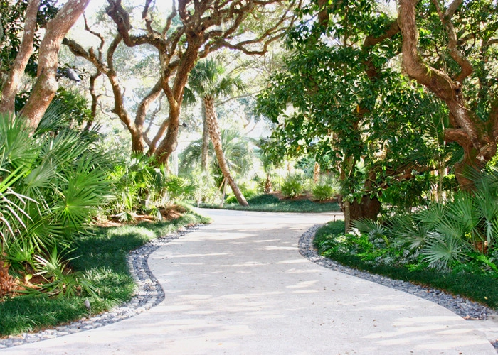 South Ponte Vedra Blvd. by Hickory Creek Nursery - Photo 6