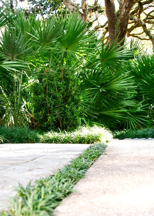 Hickory Creek Nursery - Photo 10
