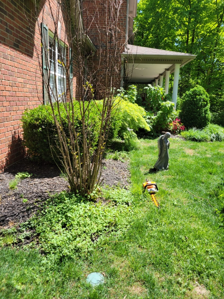 Alberto Alavez Professional Lawn Services LLC 16 by Alberto Alavez Professional Lawn Services LLC - Photo 19