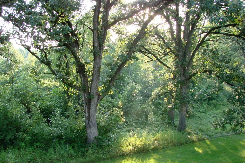 Country Casual Gardens by Hilscher Design And Ecology - Photo 5