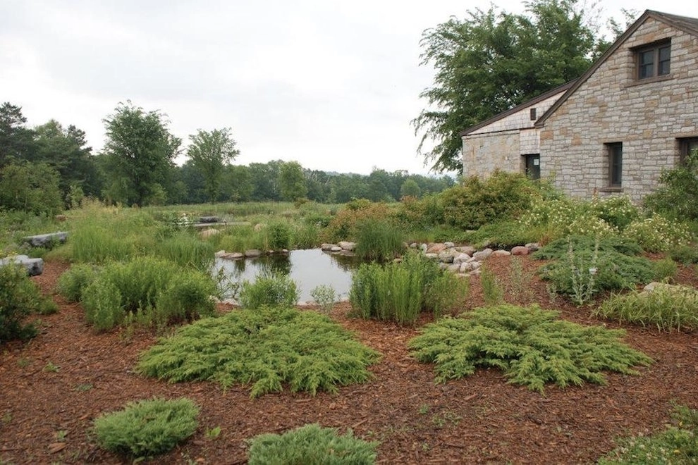 Carpenter Nature Center by Hilscher Design And Ecology - Photo 7