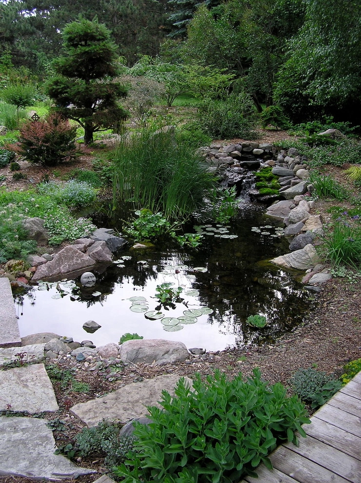 Water Garden Retreat by Hilscher Design And Ecology - Photo 6