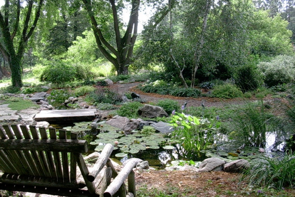 Water Garden Retreat by Hilscher Design And Ecology - Photo 4