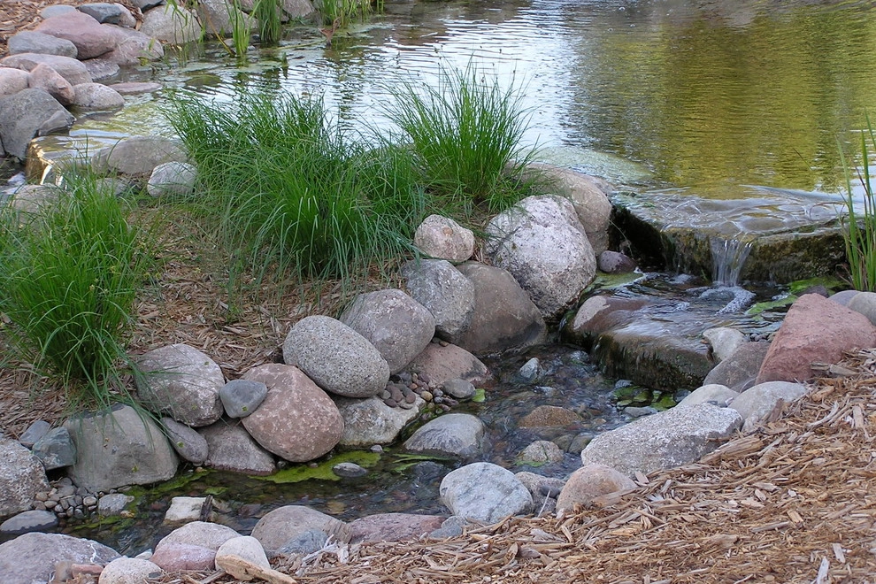 Carpenter Nature Center by Hilscher Design And Ecology - Photo 5