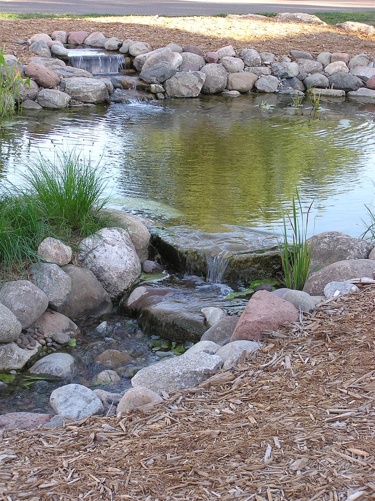 Carpenter Nature Center by Hilscher Design And Ecology - Photo 3