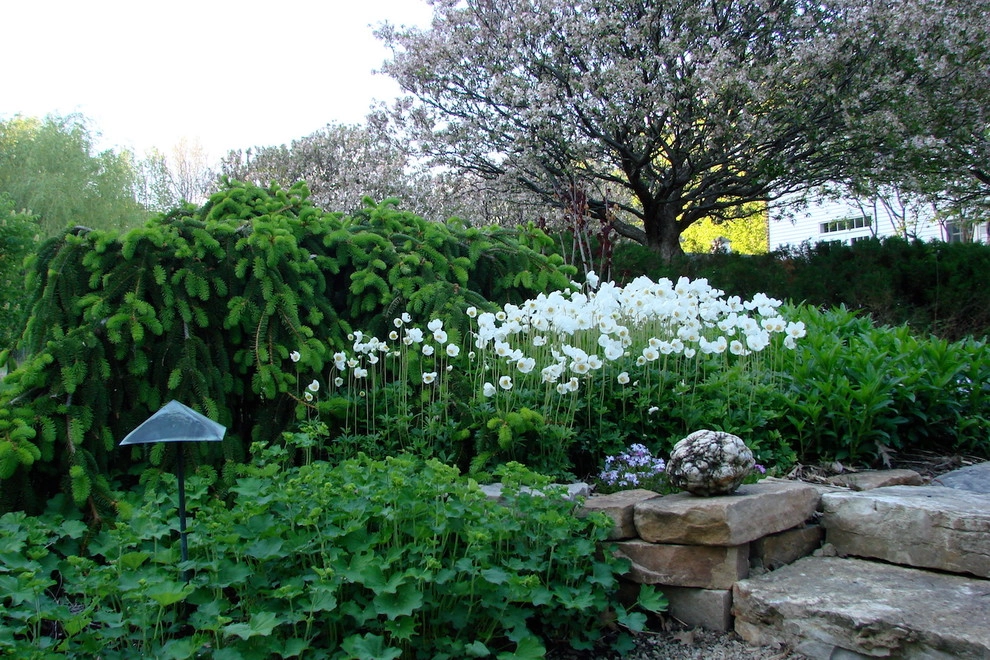 Hilscher Design And Ecology - Photo 6