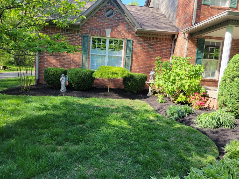 Alberto Alavez Professional Lawn Services LLC 16 by Alberto Alavez Professional Lawn Services LLC - Photo 3