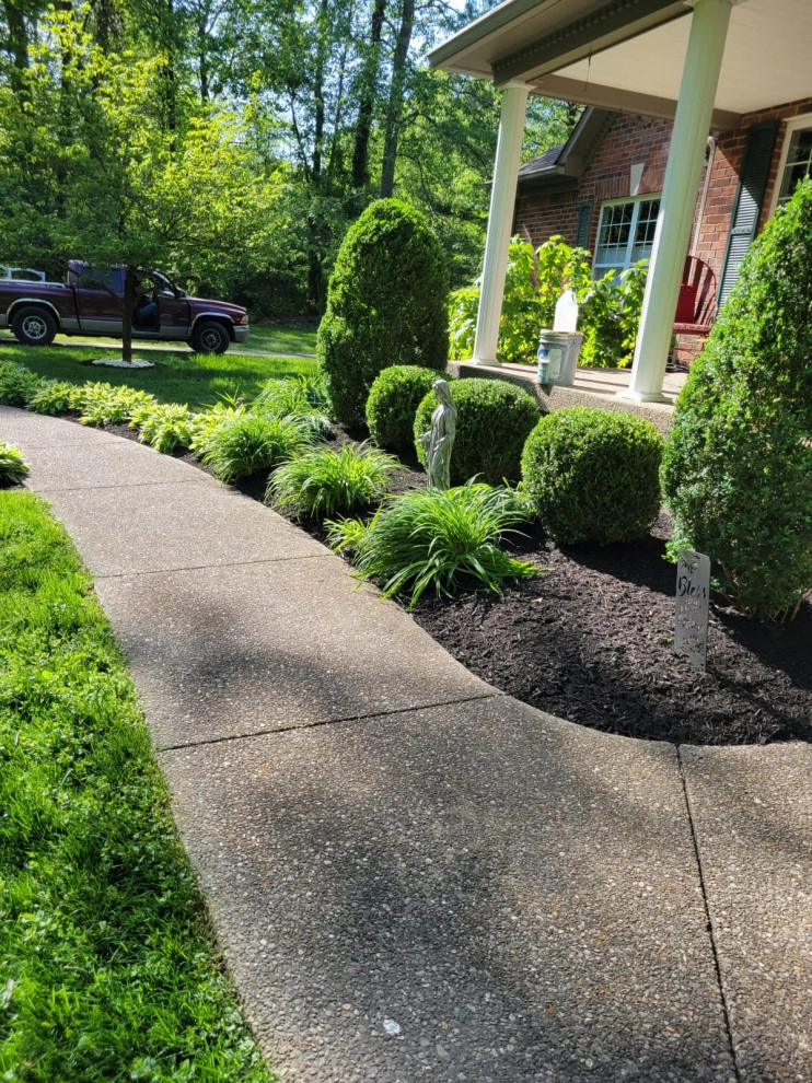 Alberto Alavez Professional Lawn Services LLC 16 by Alberto Alavez Professional Lawn Services LLC - Photo 16