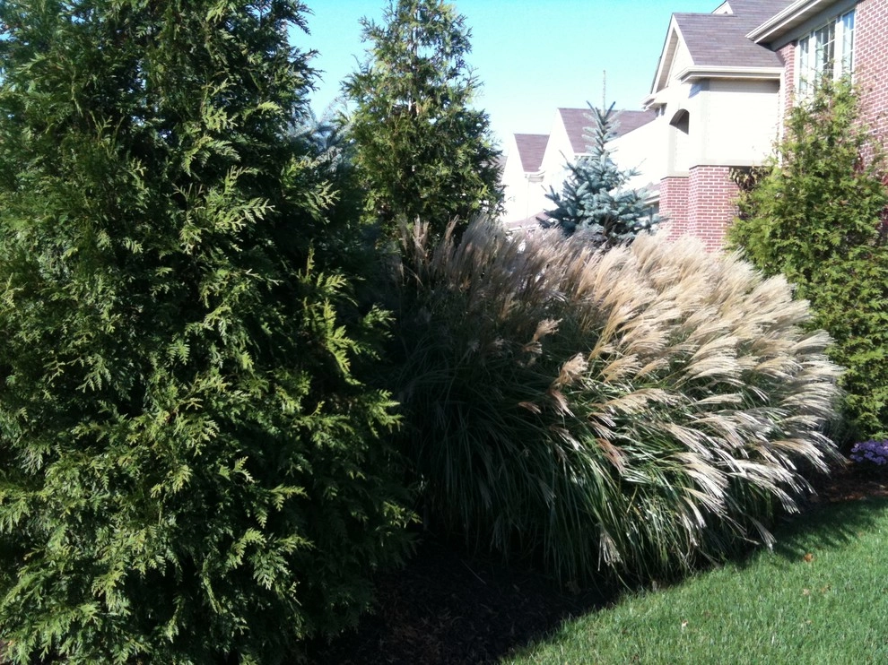 Paver Walk along Drive and Plantings by Hively Landscaping Inc. - Photo 2