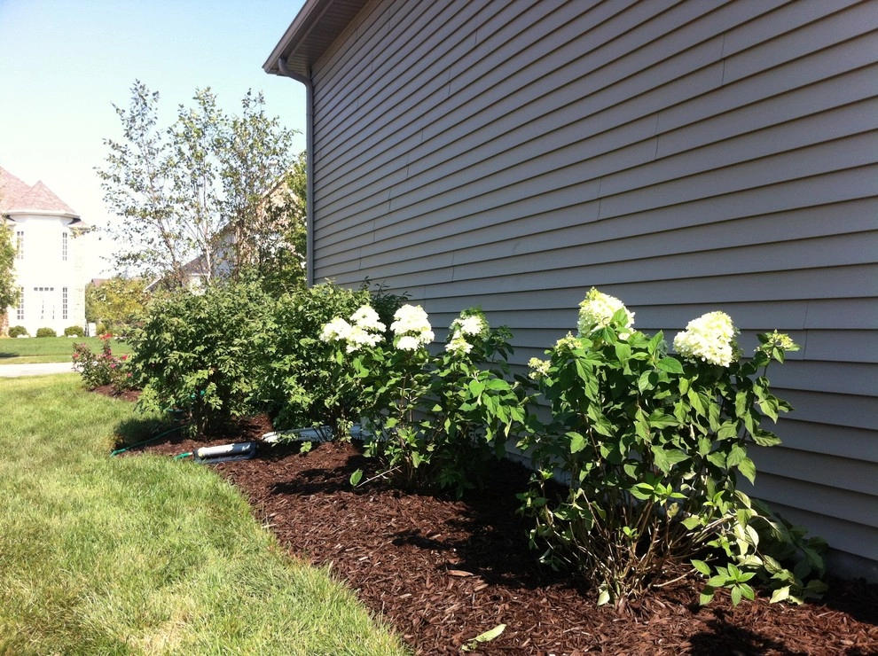 Back Yard Plantings by Hively Landscaping Inc. - Photo 3