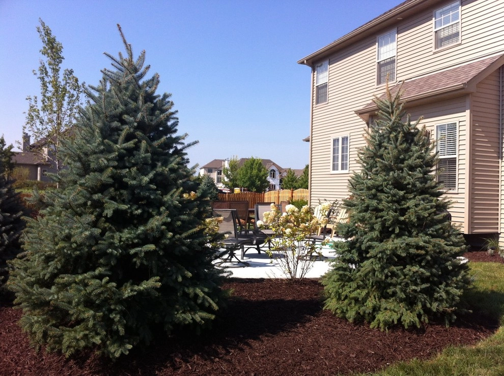 Back Yard Plantings by Hively Landscaping Inc. - Photo 7