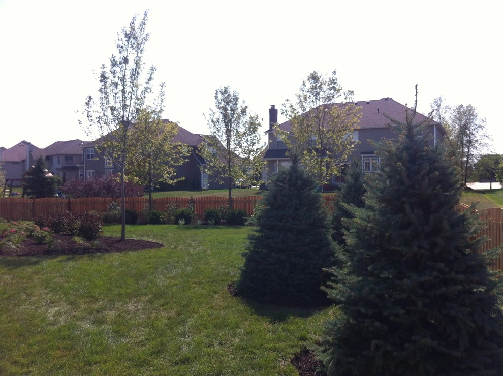 Back Yard Plantings by Hively Landscaping Inc. - Photo 4