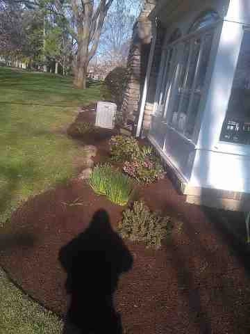 Alberto Alavez Professional Lawn Services LLC 4 by Alberto Alavez Professional Lawn Services LLC - Photo 28
