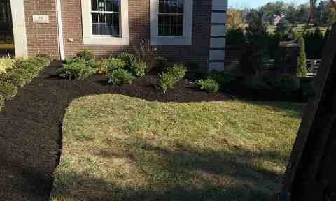 Alberto Alavez Professional Lawn Services LLC 4 by Alberto Alavez Professional Lawn Services LLC - Photo 118