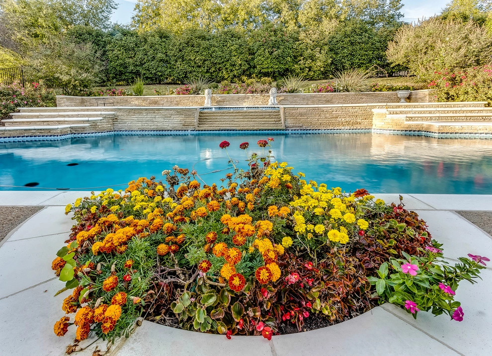 Roman Style Hobert Pool in Fairview, Texas by Hobert Pools And Spas - Photo 5