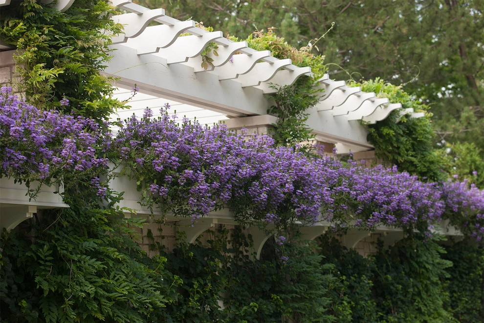 Traditional Lakefront by Hoerr Schaudt Landscape Architects - Photo 3