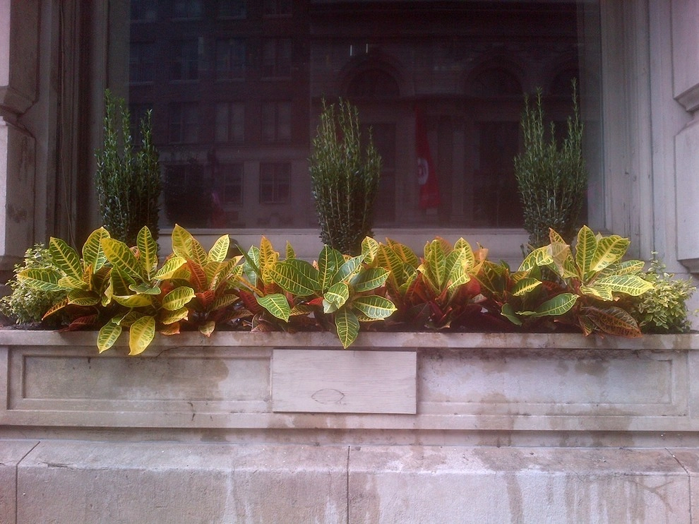 Hoffman Design Group, Inc - Photo 7