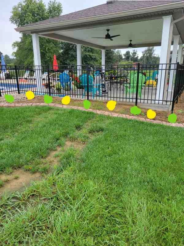 Alberto Alavez Professional Lawn Services LLC 4 by Alberto Alavez Professional Lawn Services LLC - Photo 24