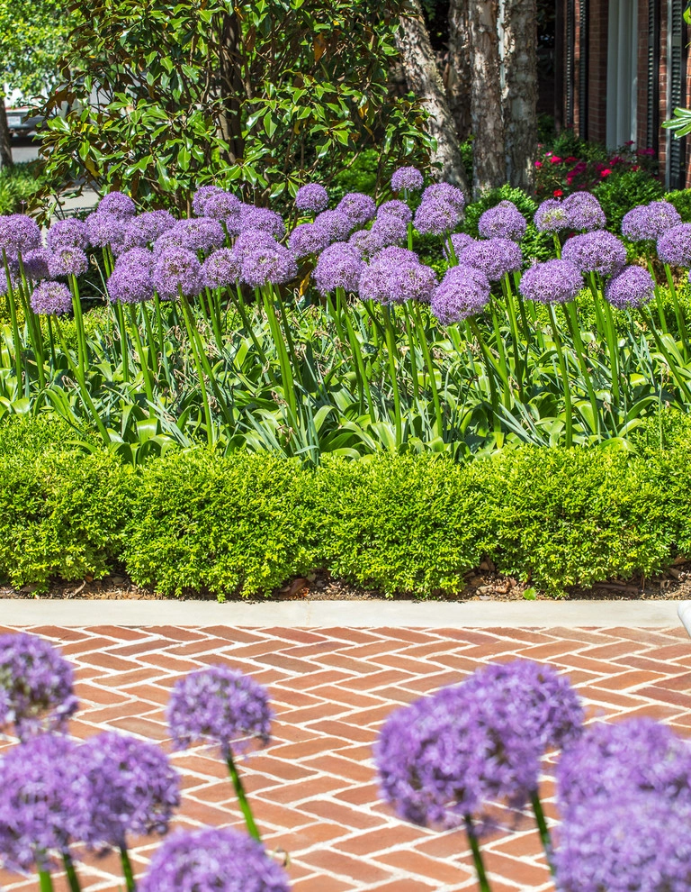Kalorama Traditional by Horn & Co. (Previously JHLA) - Photo 8