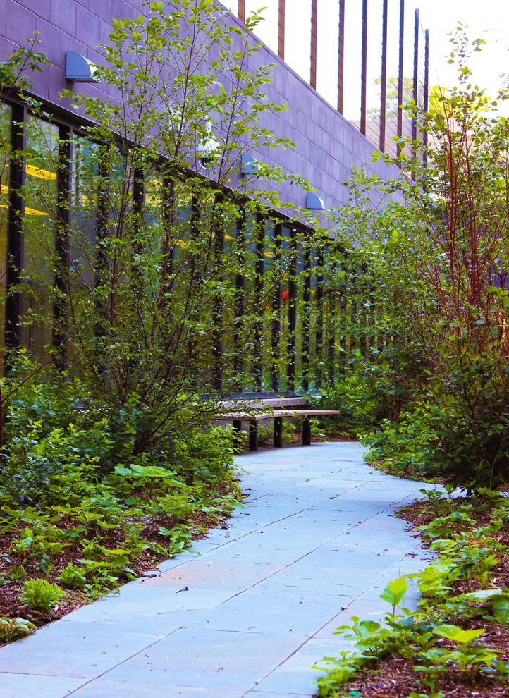 Public School 315 - Queens, NY by Horn & Co. (Previously JHLA) - Photo 5