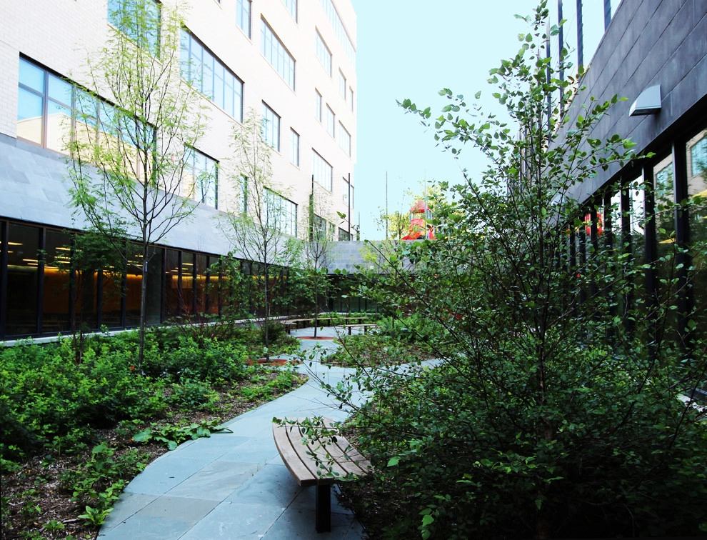 Public School 315 - Queens, NY by Horn & Co. (Previously JHLA) - Photo 4
