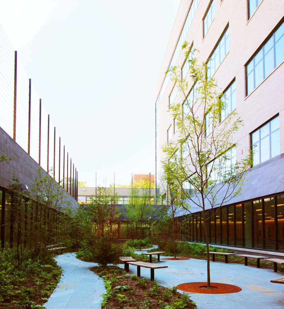 Public School 315 - Queens, NY by Horn & Co. (Previously JHLA) - Photo 3
