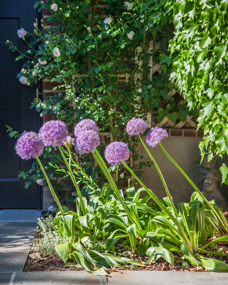 Kalorama Traditional by Horn & Co. (Previously JHLA) - Photo 4