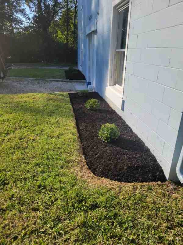 Alberto Alavez Professional Lawn Services LLC 4 by Alberto Alavez Professional Lawn Services LLC - Photo 44