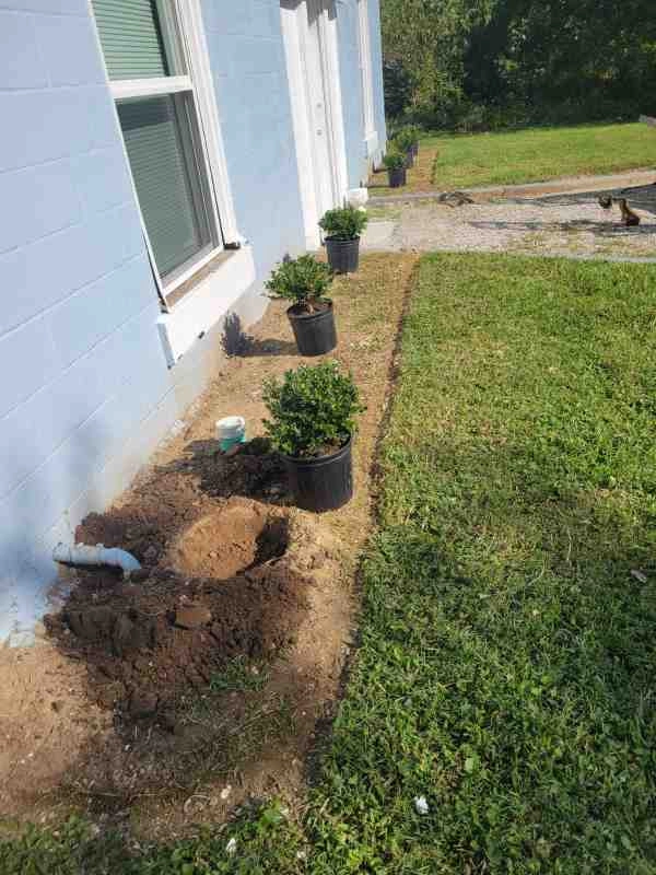 Alberto Alavez Professional Lawn Services LLC 4 by Alberto Alavez Professional Lawn Services LLC - Photo 18