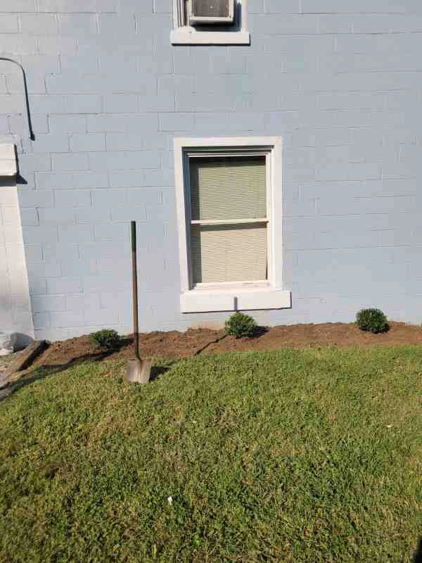 Alberto Alavez Professional Lawn Services LLC 4 by Alberto Alavez Professional Lawn Services LLC - Photo 156
