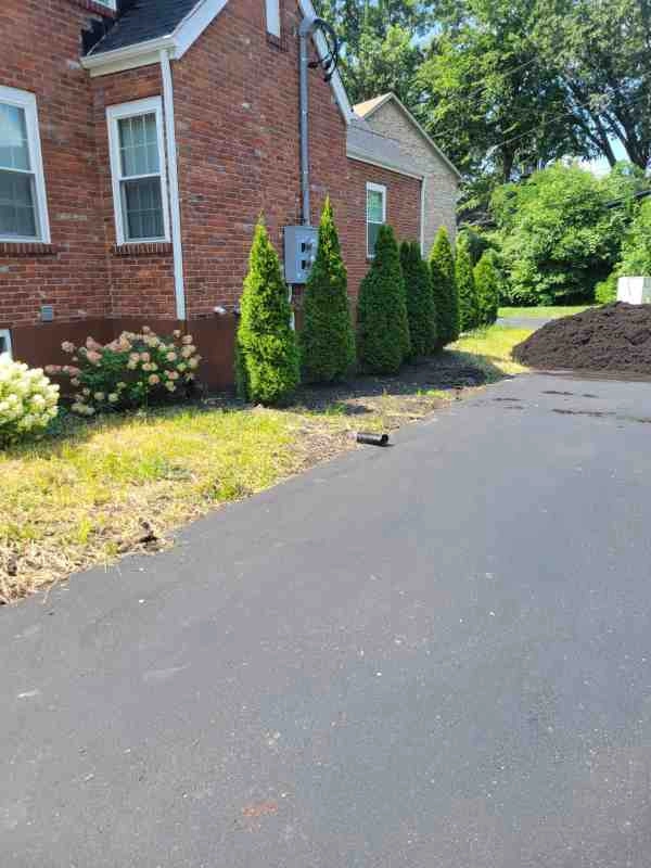 Alberto Alavez Professional Lawn Services LLC - Photo 13