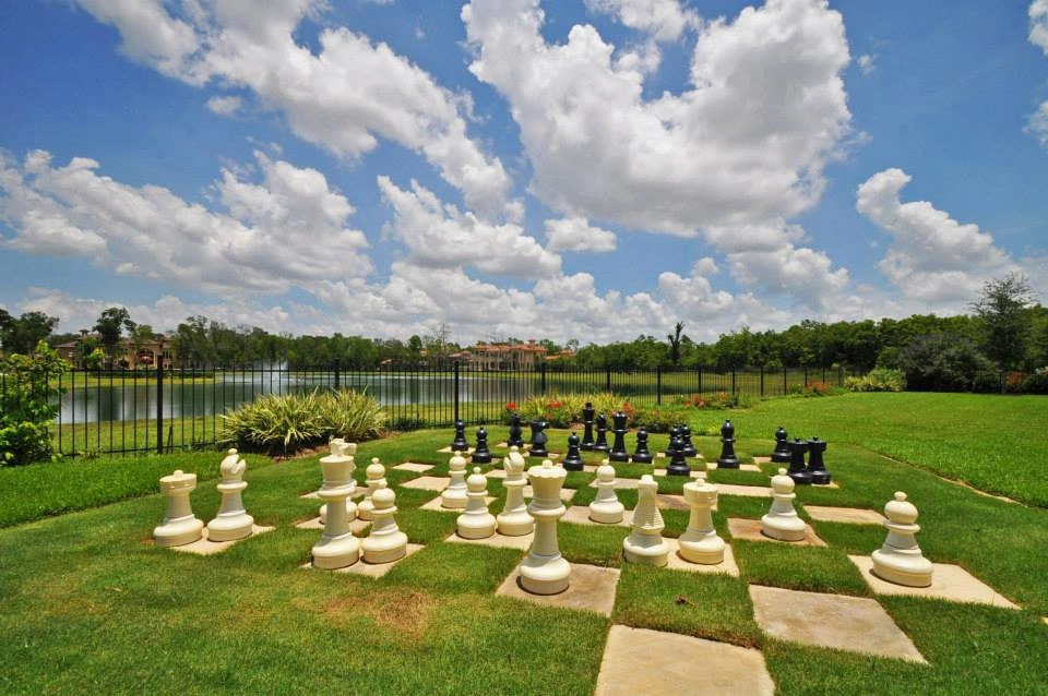 Game of Chess? by Aj's Landscaping And Design - Photo 5