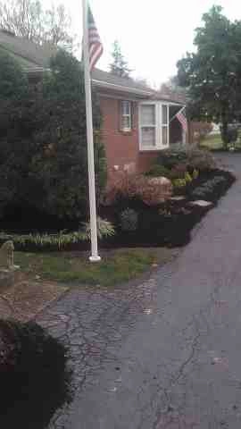 Alberto Alavez Professional Lawn Services LLC 4 by Alberto Alavez Professional Lawn Services LLC - Photo 88