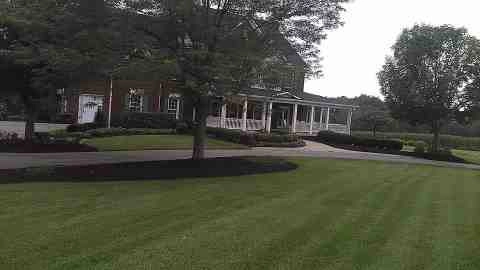 Alberto Alavez Professional Lawn Services LLC 4 by Alberto Alavez Professional Lawn Services LLC - Photo 162