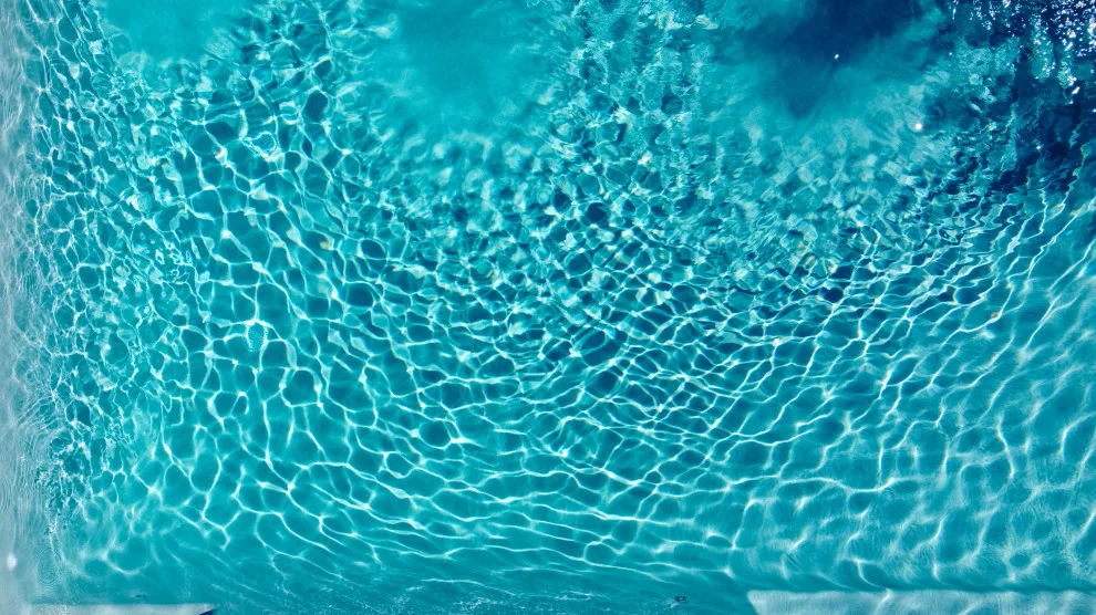 Stunning New Pool by Oasis Spaces - Photo 10