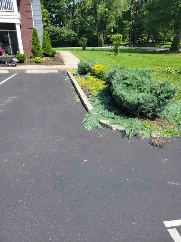 Alberto Alavez Professional Lawn Services LLC 4 by Alberto Alavez Professional Lawn Services LLC - Photo 168