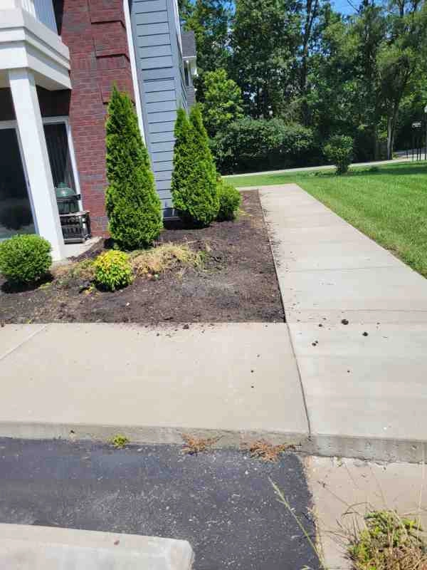 Alberto Alavez Professional Lawn Services LLC 4 by Alberto Alavez Professional Lawn Services LLC - Photo 121