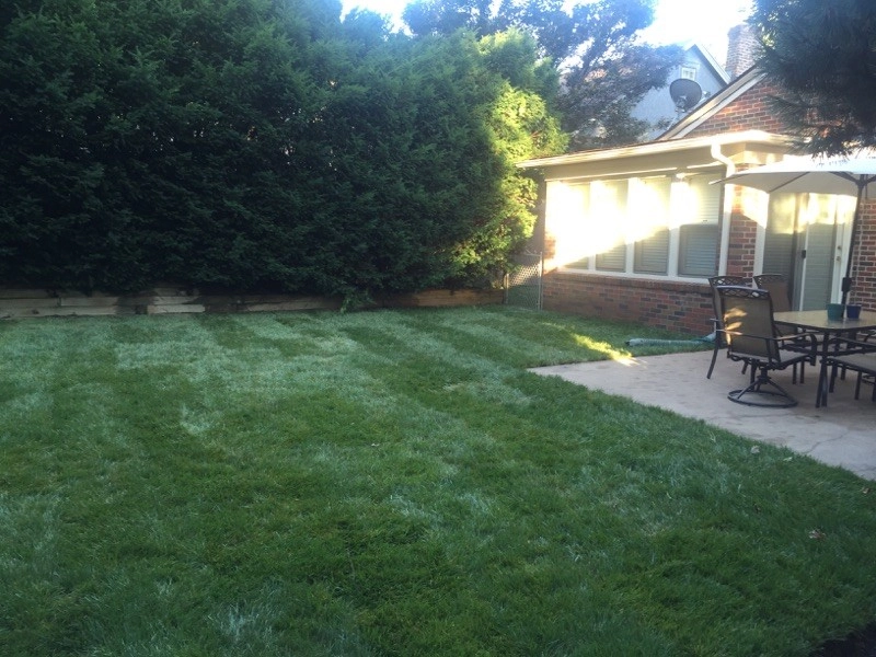 AJ's Landscaping LLC - Photo 11