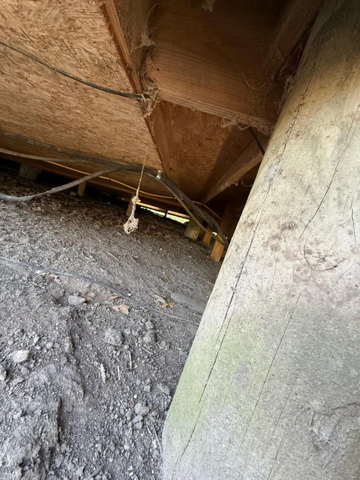 Before and After Two by Lone Star House Leveling & Foundation Repair - Photo 3