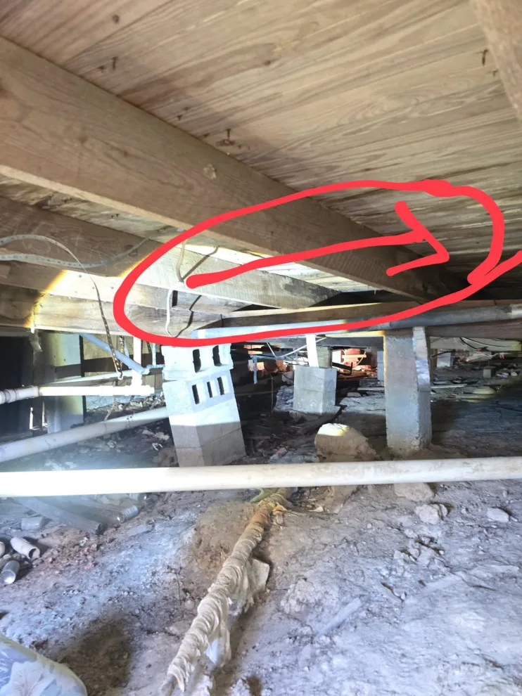 Before and After III by Lone Star House Leveling & Foundation Repair - Photo 2
