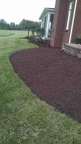 Alberto Alavez Professional Lawn Services LLC 4 by Alberto Alavez Professional Lawn Services LLC - Photo 180