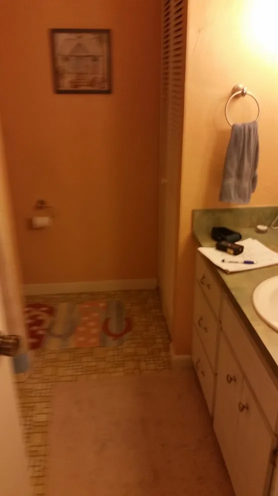 Hall Bath Transformation by Robinson Renovation & Custom Homes, Inc. - Photo 3