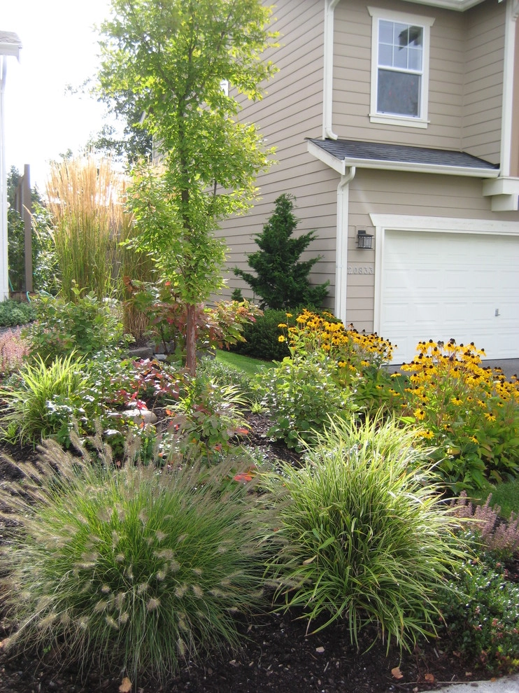 Landscape Plantings by In Harmony Sustainable Landscapes - Photo 7
