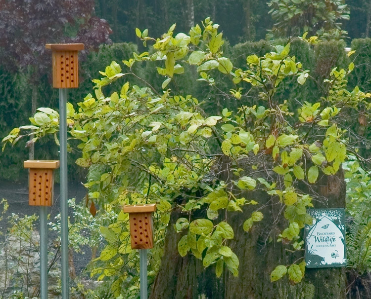 Urban Lodge by In Harmony Sustainable Landscapes - Photo 4