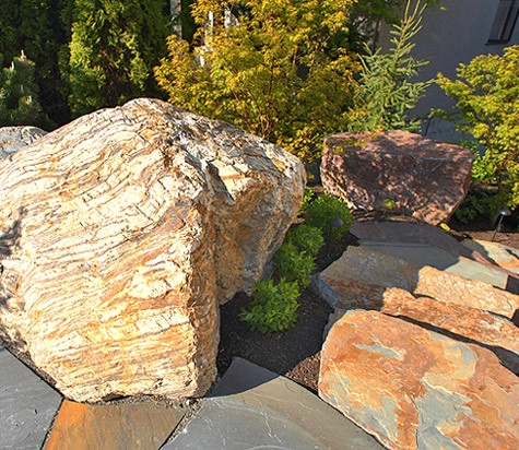 In Harmony Sustainable Landscapes - Photo 12