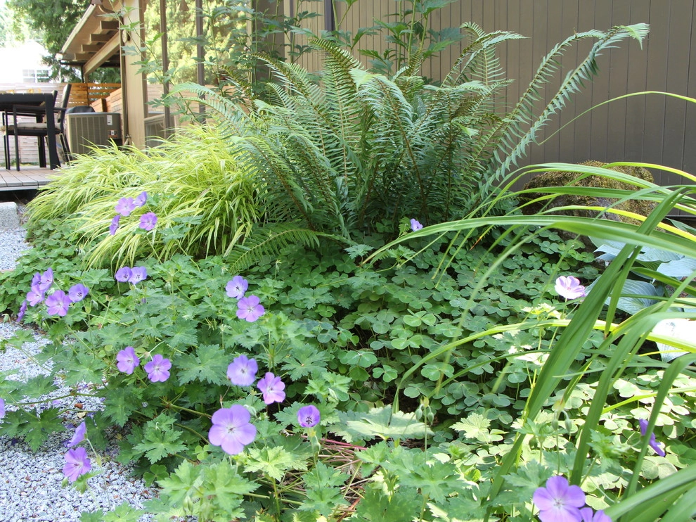 Landscape Plantings by In Harmony Sustainable Landscapes - Photo 2