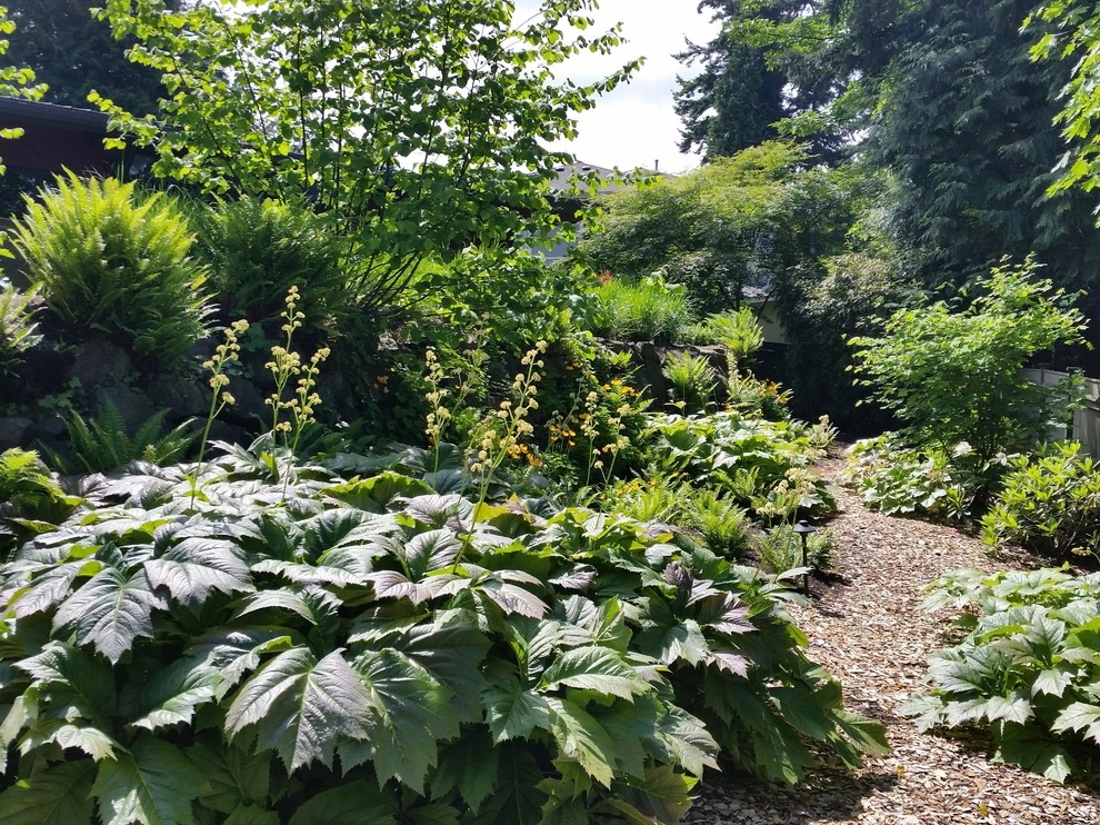 Landscape Plantings by In Harmony Sustainable Landscapes - Photo 6