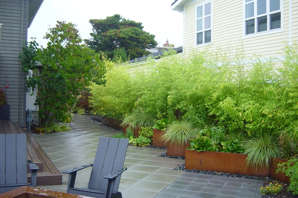 Waterfront Property, West Seattle by In Harmony Sustainable Landscapes - Photo 4