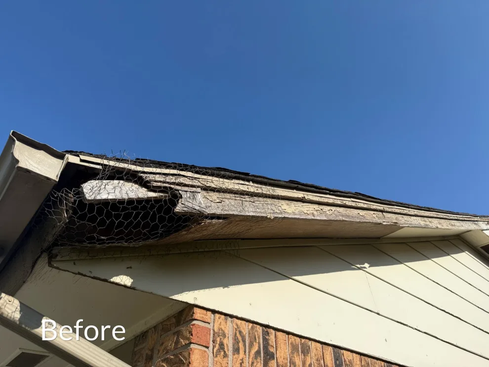 BD Homestead LLC - Photo 12