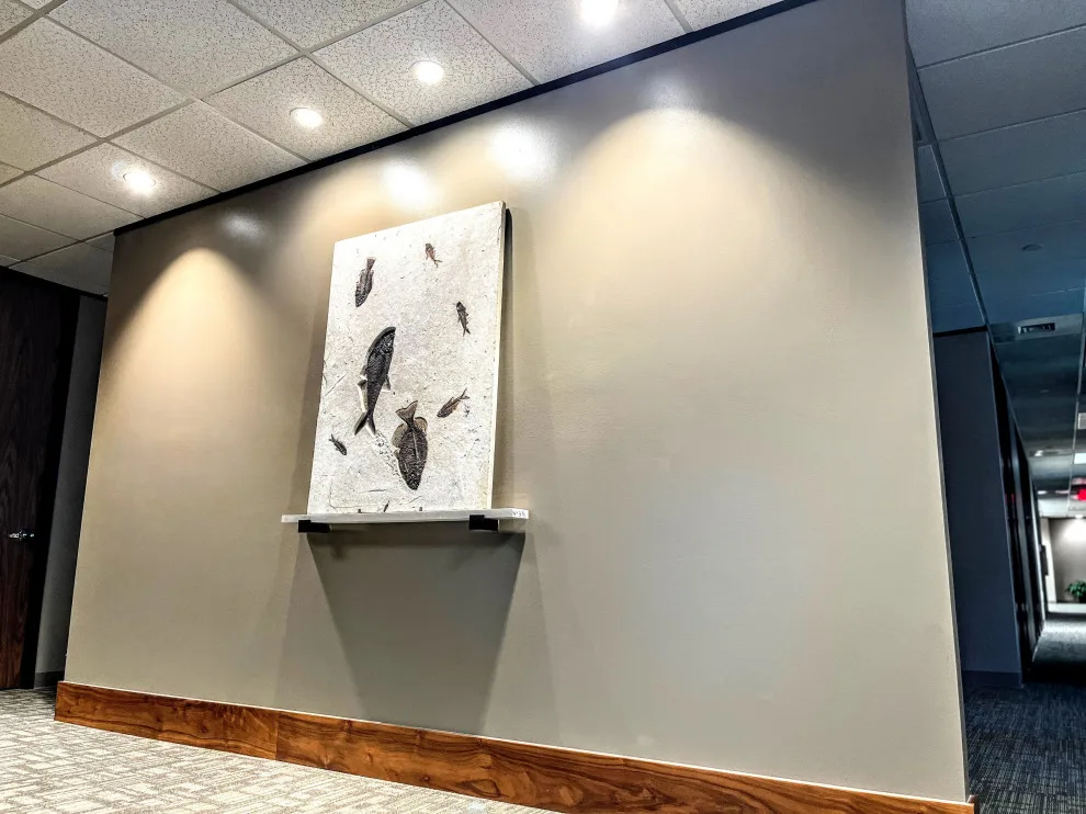 Office Space for Commercial Tenants by Jonestar Construction - Photo 3